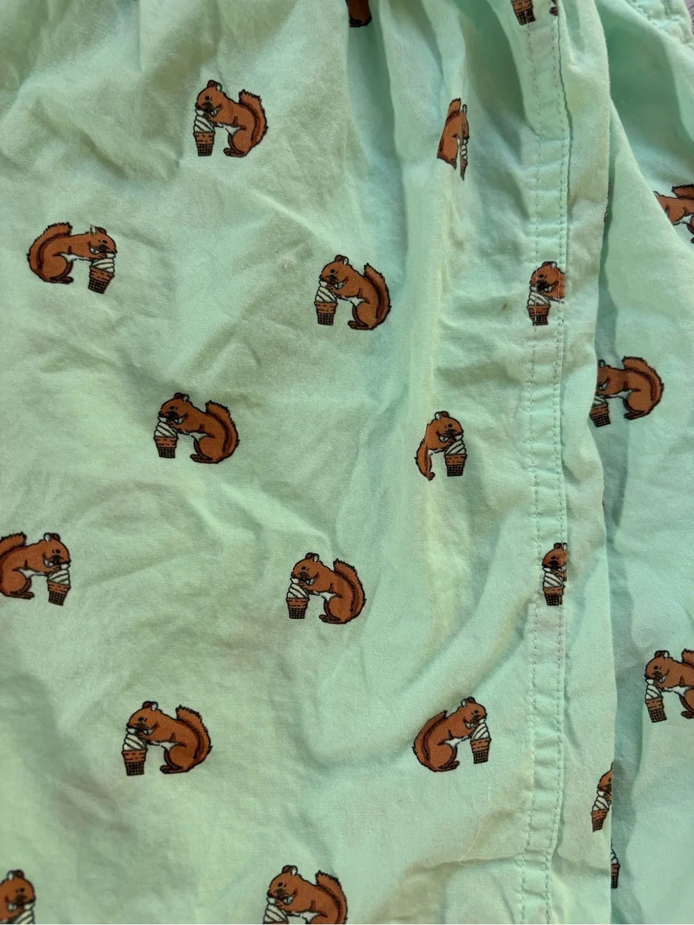 J. Crew Men’s Light Green Boxer Shorts with Squirrel eating ice cream 🍦